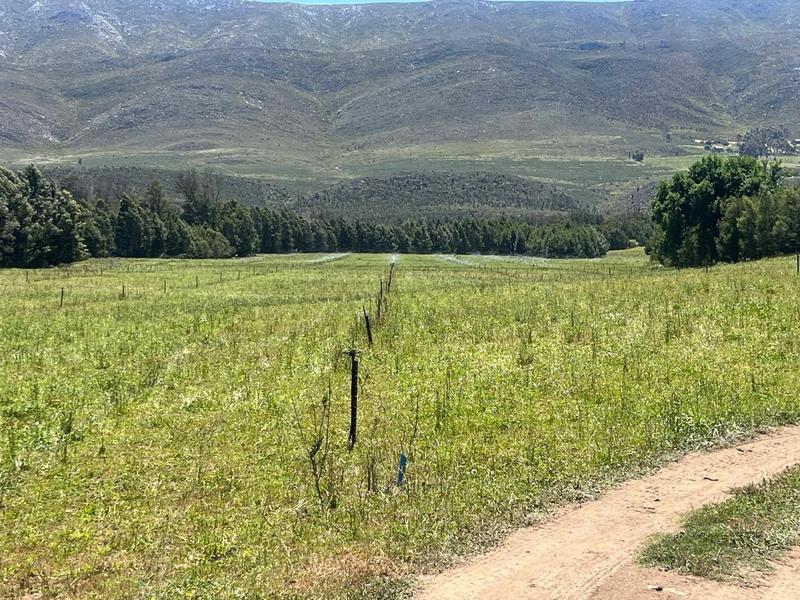 0 Bedroom Property for Sale in George Rural Western Cape